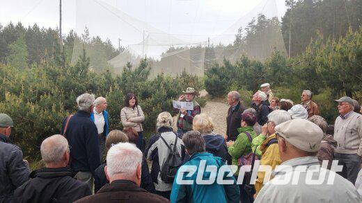 Vogelwarte auf der Kuhrischen Nehrung 