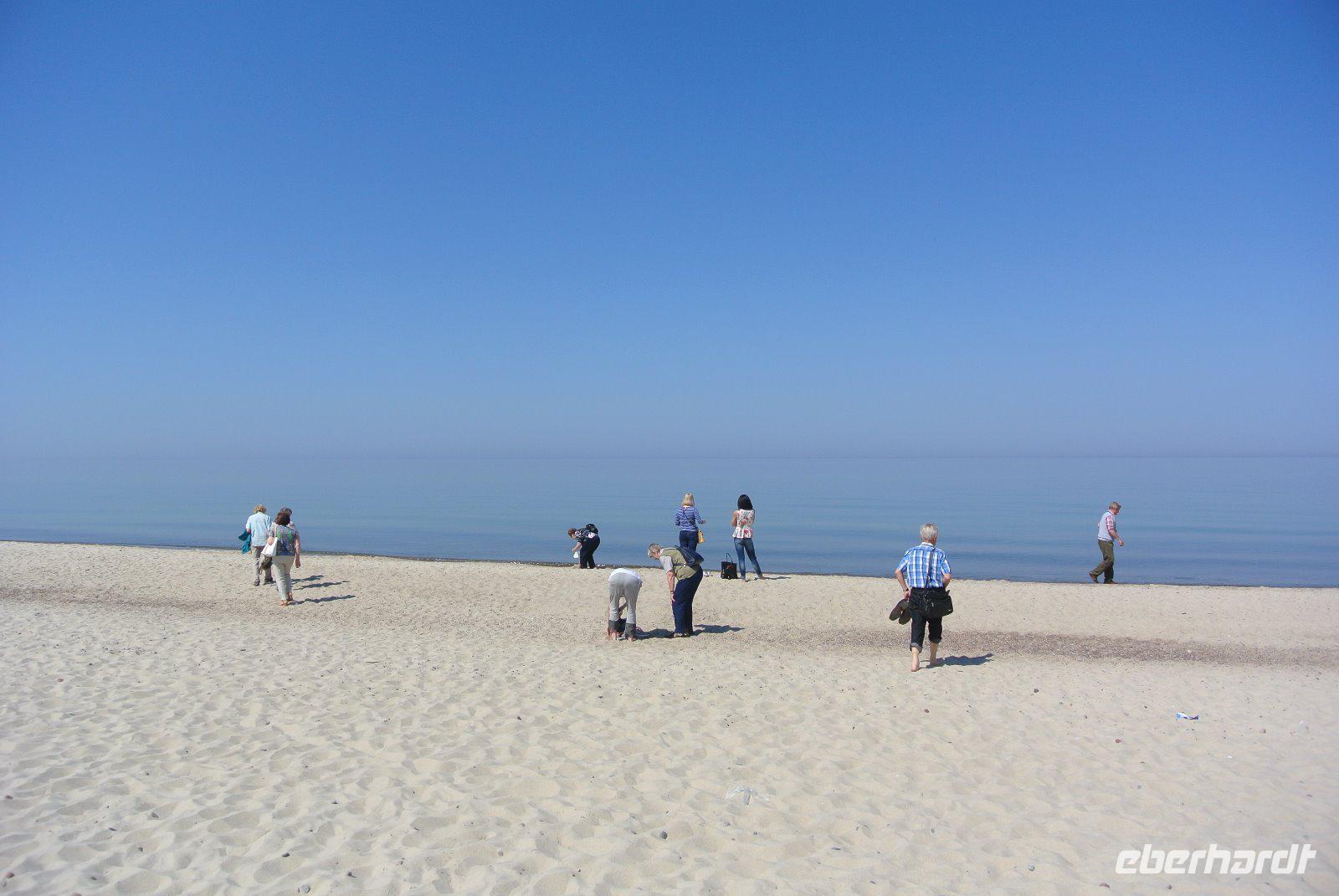 Strand Schwarzensee Kuhrische Nehrung 