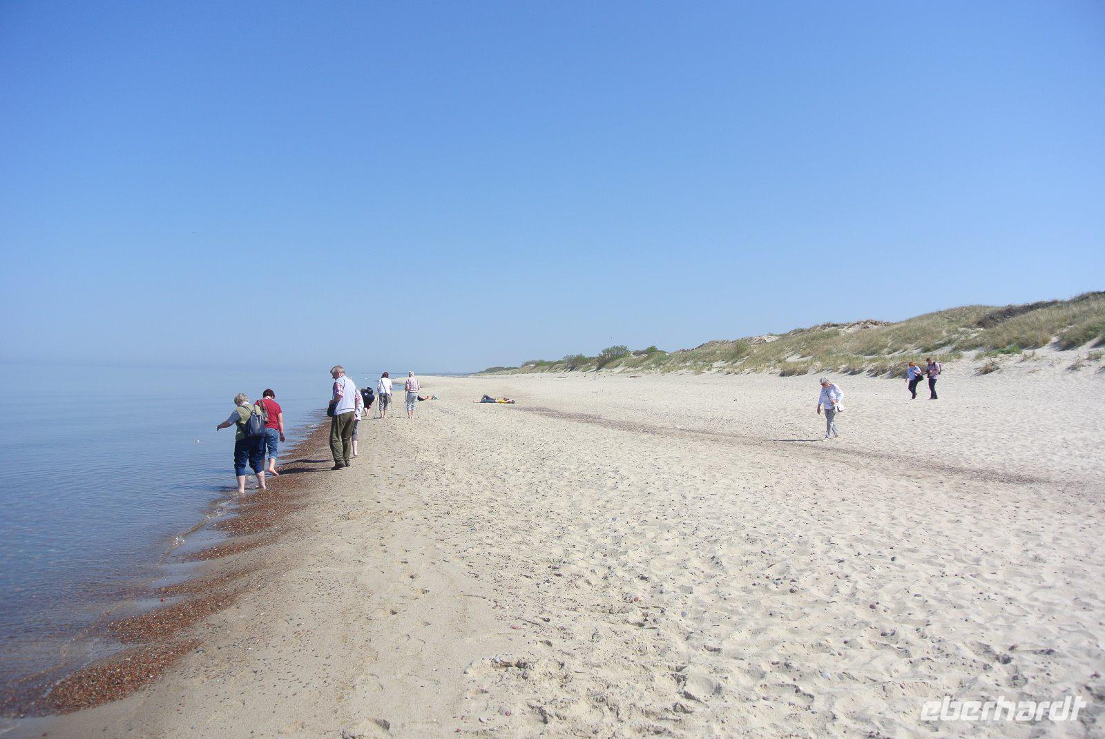 Strand Schwarzensee Kuhrische Nehrung 