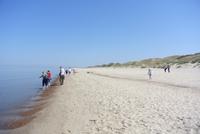 Strand Schwarzensee Kuhrische Nehrung 