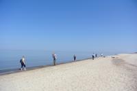 Strand Schwarzensee Kuhrische Nehrung 