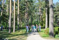 Im Friedhof von Nida 