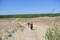 Tote Düne auf der Kuhrischen Nehrung in Litauen 