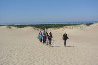 Tote Düne auf der Kuhrischen Nehrung in Litauen 