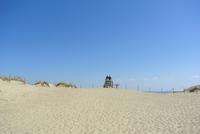 Tote Düne auf der Kuhrischen Nehrung in Litauen 