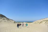 Tote Düne auf der Kuhrischen Nehrung in Litauen 