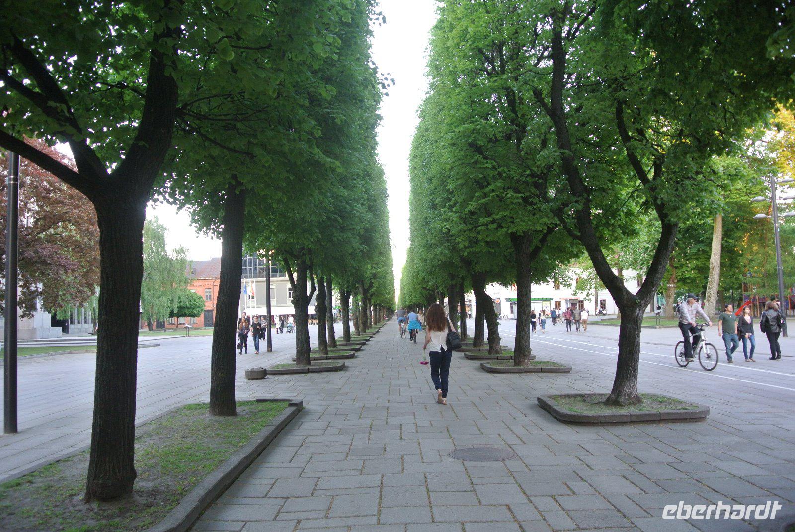 Freiheitsprommenade in Kaunas 