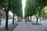 Freiheitsprommenade in Kaunas 