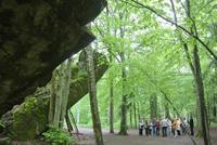 Wolfschanze in den Masuren 