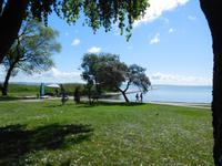 Litauen_kurische_Nehrung_Nidden (18)