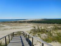 Litauen_kurische_Nehrung_Nidden_Hohe_Düne (5)