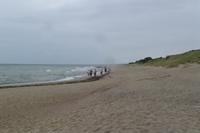 Kurische Nehrung Königsberger Gebiet