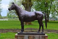 Bronzedenkmal im ehemaligen Gestüt Trakehnen