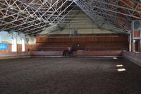 Gestüt Georgenburg bei Insterburg