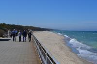 Ostseestrand auf der Kurischen Nehrung