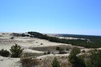 Dünen auf der Kurischen Nehrung