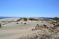 Dünen auf der Kurischen Nehrung