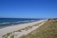 Ostseestrand auf der Kurischen Nehrung