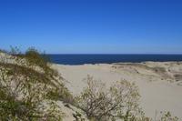 Dünen auf der Kurischen Nehrung