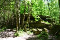 Besuch der Wolfsschanze