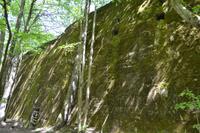 Besuch der Wolfsschanze