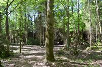 Besuch der Wolfsschanze