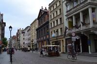 Stadtführung in Thorn