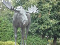 Rundfahrt Kaliningrader Gebiet: Tilsit