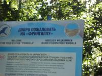 Kurische Nehrung: Rossitten