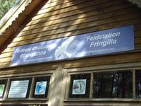 Kurische Nehrung: Rossitten