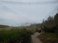 Rußland_Kurische_Nehrung_Rossitten_Vogelwarte (4)