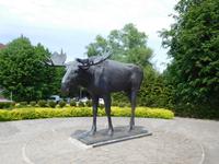 Russland_Tilsit (13)