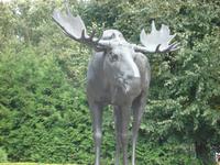 Rundfahrt Kaliningrader Gebiet: Tilsit