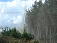 Kurische Nehrung: Rossitten