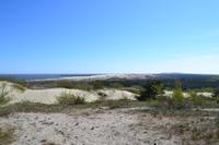 Dünen auf der Kurischen Nehrung