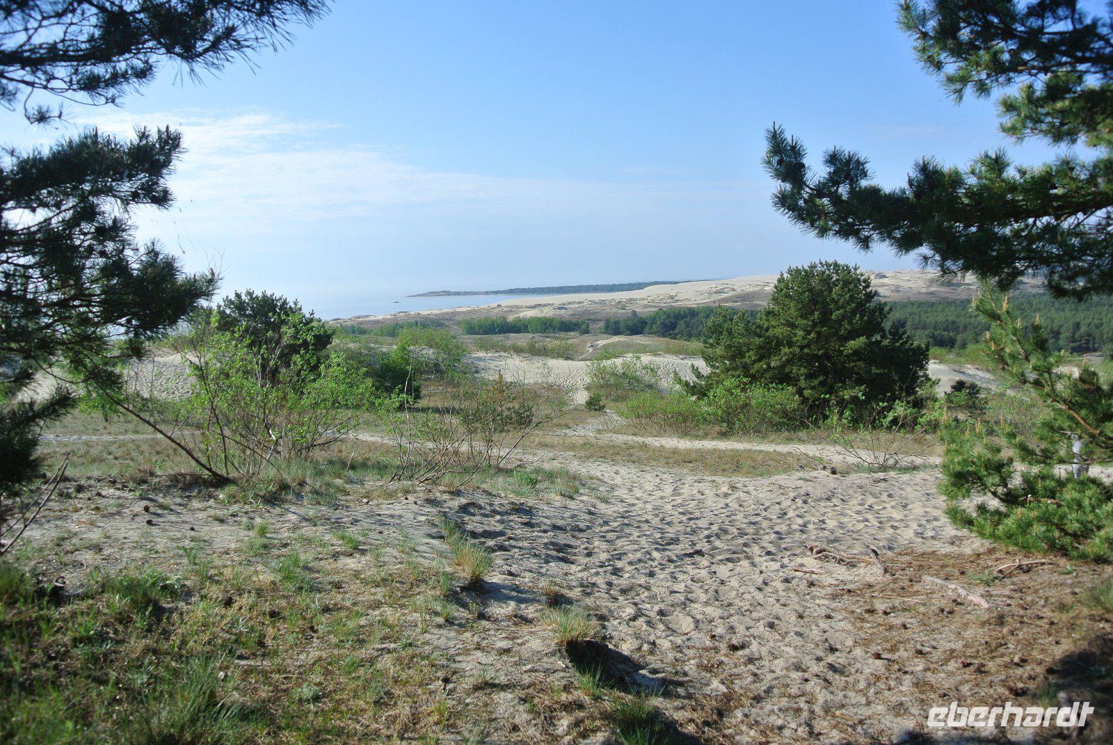 Hohe Düne in Nida 