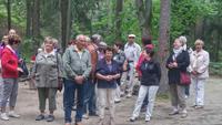 Im Hexenberg bei Nidden