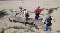 Strand auf der Kurischen Nehrung
