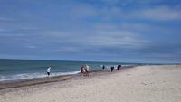 Strand auf der Kurischen Nehrung