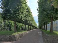 Russland, Peterhof, oberer Park