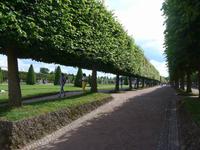 Russland, Peterhof, oberer Park