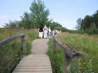 280 Ausflug ins Grüne