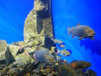 Russland, Baikalsee, Listwjanka, Baikalmuseum