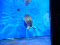 Russland, Baikalsee, Listwjanka, Baikalmuseum