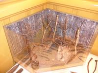 Russland, Baikalsee, Museum in Port Baikal