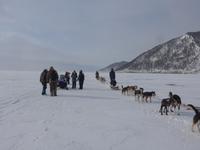 Russland, Baikalsee, Listwjanka, Schlittenhunde-/Schneemobilausflug