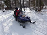 Russland, Baikalsee, Listwjanka, Schlittenhunde/Schneemobilausflug