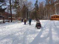 Russland, Baikalsee, Listwjanka, Schlittenhunde/Schneemobilausflug