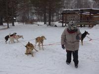 Russland, Baikalsee, Listwjanka, Schlittenhunde-/Schneemobilausflug