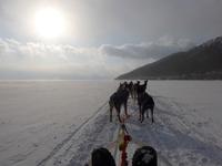 Russland, Baikalsee, Listwjanka, Schlittenhunde-/Schneemobilausflug